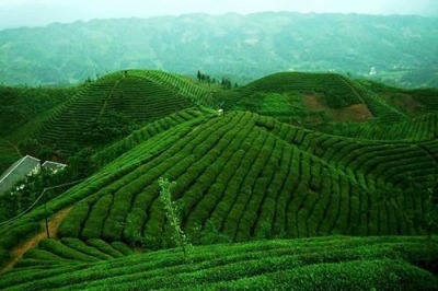 省地质局第二地质大队队长徐辉带队参加恩施市硒资源普查工作专题会议