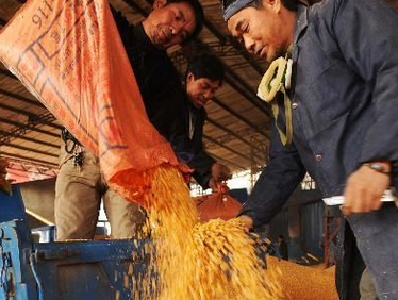 湖北出台粮食收购新规:农民等无需再办粮食收购资格
