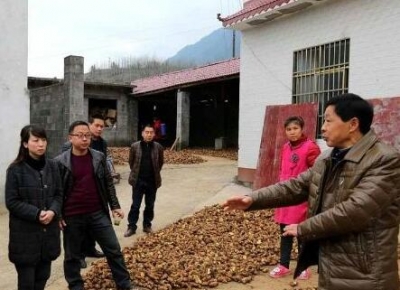 恩施州考核组验收建始县2016年秋冬季农业综合开发工作