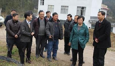 周静到咸丰高峰村调研精准扶贫工作 