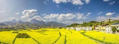 美呆！建始长梁的油菜花开了！