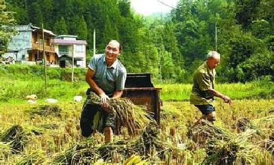 刘芳震在来凤县革勒车镇调研时要求 突出特色产业发展 实现如期稳定脱贫