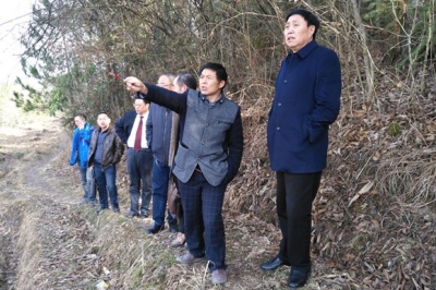 恩施州政协副主席向宏贵深入建始车营村调研精准扶贫工作