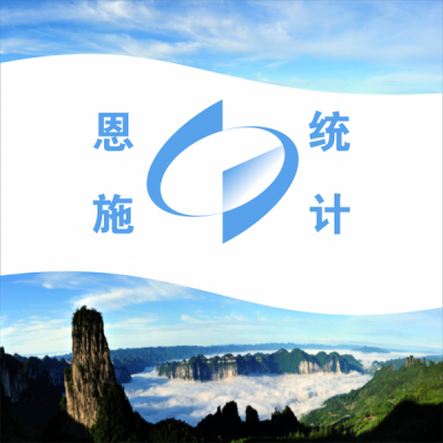 恩施州统计局专题研究2017年党风廉政建设工作  