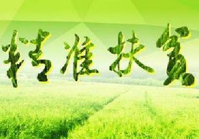 刘芳震到来凤县革勒车镇调研精准扶贫工作