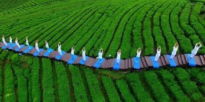 宣恩：以茶的名义，与旅游相遇