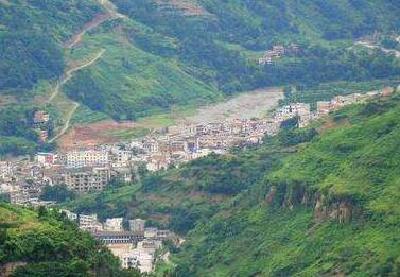 早春走一线 | 利川市建南镇：苦黄连种出甜蜜新生活