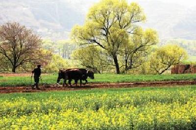 撸起袖子闹春耕 恩施州掀起春季农业生产热潮