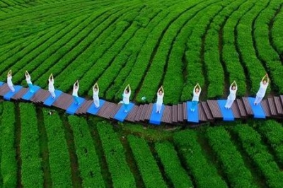 宣恩 | 以茶的名义，与旅游相遇