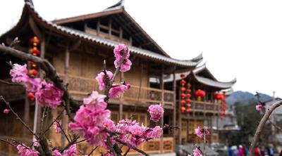 恩施盛家坝：旅游扶贫促旧铺变“热炕”