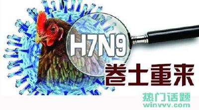 H7N9导致恩施州家禽行业价跌量减 土鸡跌至半价