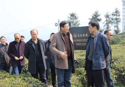 鹤峰、宣恩两县接受“省级农产品质量安全县”考核验收
