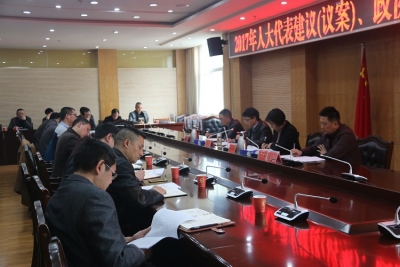 鹤峰县集中交办人大议案和政协提案