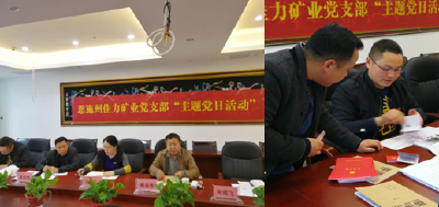 恩施市财政局领导参加联系企业“支部主题党日”活动