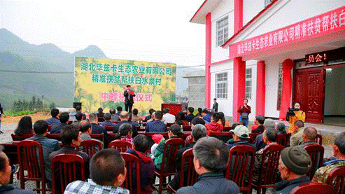 来凤县比兹卡生态农业公司 情系大河镇白水泉村