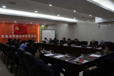 恩施州供销社党组书记以普通党员身份参加支部主题党日活动并讲党课