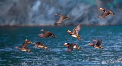 恩施州出台创建生态文明建设示范县（市）奖励办法 国家级奖2000万、省级1000万