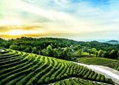 李建明:加快构建“世界硒都•中国硒谷”支撑体系