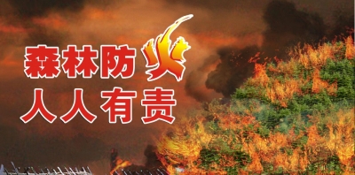 利川市忠路镇开展森林防火实战演练