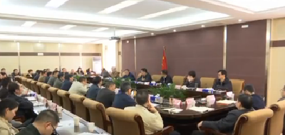 视频|陈江龙：严肃党内政治生活、严格落实“两个责任”