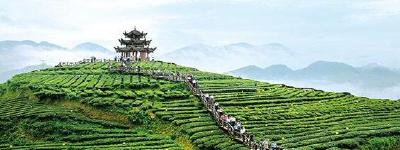 省旅游委推介毛坝、伍家台等茶文化旅游线路