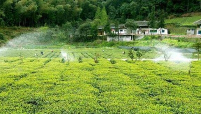 绿色崛起看恩施 | 利川市:找准特色定位 加快绿色崛起