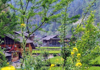 恩施州政协调研咸丰特色产业增长极发展情况 