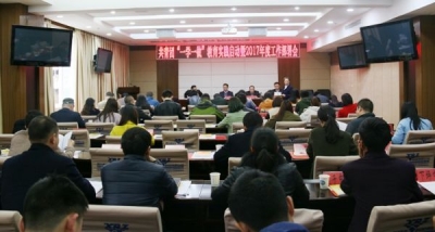 鹤峰县共青团“一学一做”教育实践暨2017年度工作部署会召开