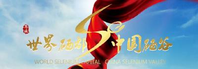  打造“世界硒都·中国硒谷”的历史担当