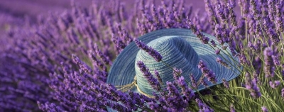 早啊！恩施新闻来了！