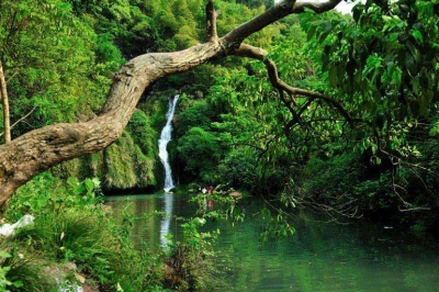 问政追踪：龙洞河沿线污水直排问题正在整改