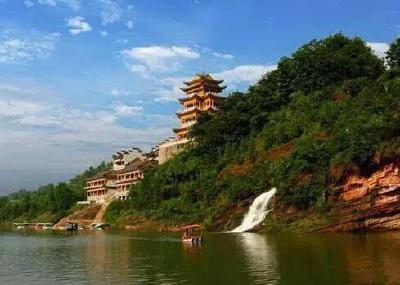 来凤携手北京网库集团共建中国藤茶产业电子商务基地