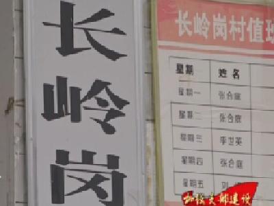 巴东长岭岗村：借智谋发展 加快脱贫攻坚步伐 