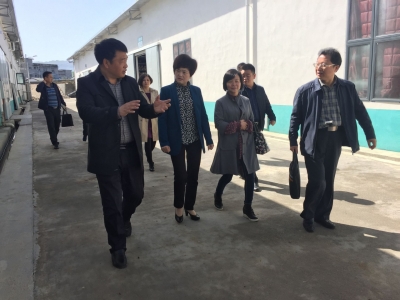 恩施州委常委、统战部部长涂元玲一行到利川调研非公企业 