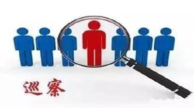 咸丰县委首轮巡察发现问题152件