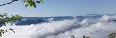 来凤贵帽山：雨后云海美如仙境