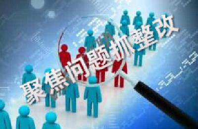 湖北日报 | 巴东党员亮身份重垂范 聚焦问题抓整改