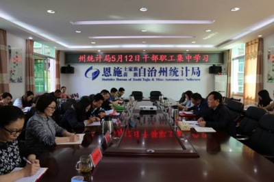 恩施州统计局扎实开展集中学习教育活动