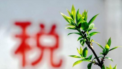 今年10月1日起恩施州正式启动实名办税