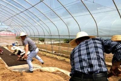 湖北健康蔬菜栽培项目落户建始高坪花鹿台村 