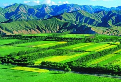 李建明刘芳震到州农科院调研