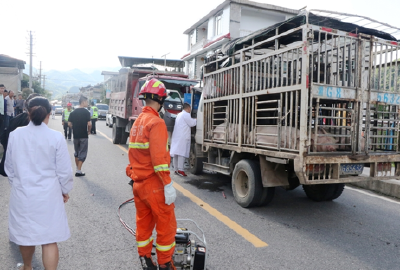 鹤峰 | 农用车与满载生猪货车“互怼” 货车司机被困