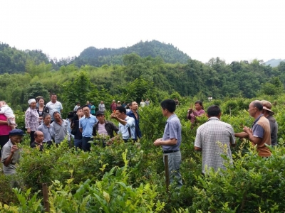 技能培训助推精准扶贫