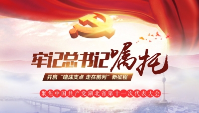 正在刷屏的省党代会，到底是个啥会？