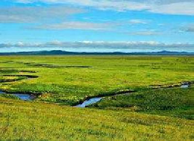 建始县实行畜牧业院企联合