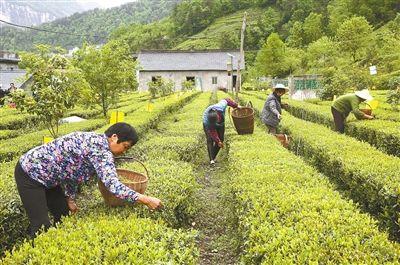 李建明在州直单位驻恩施市扶贫帮扶工作推进会上强调：坚持问题导向 聚力发展短板 坚决打赢脱贫攻坚战