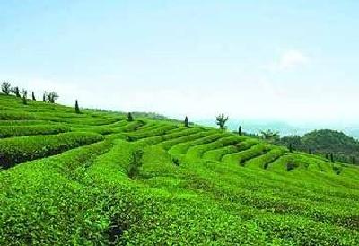 恩施市富硒产品受到中国·安康硒博会青睐