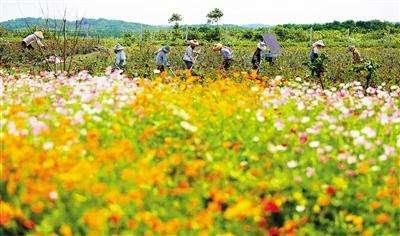 恩施州(来凤)一基地入选首批全国农村创业创新园区（基地）