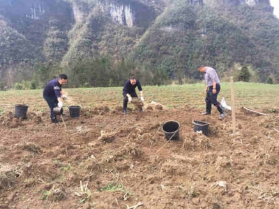 大山深处的四个现代农民一一恩施州地税局精准扶贫驻村工作队扶贫工作日志