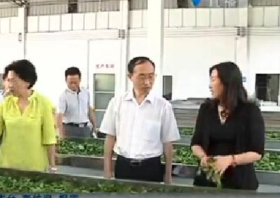 恩施州领导到咸丰调研农业发展情况